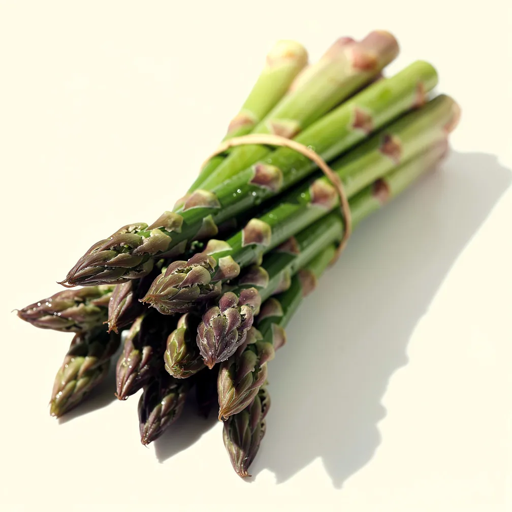 Spargel — nutrition facts