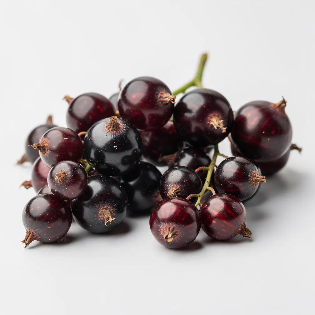 Schwarze Johannisbeere — nutrition facts