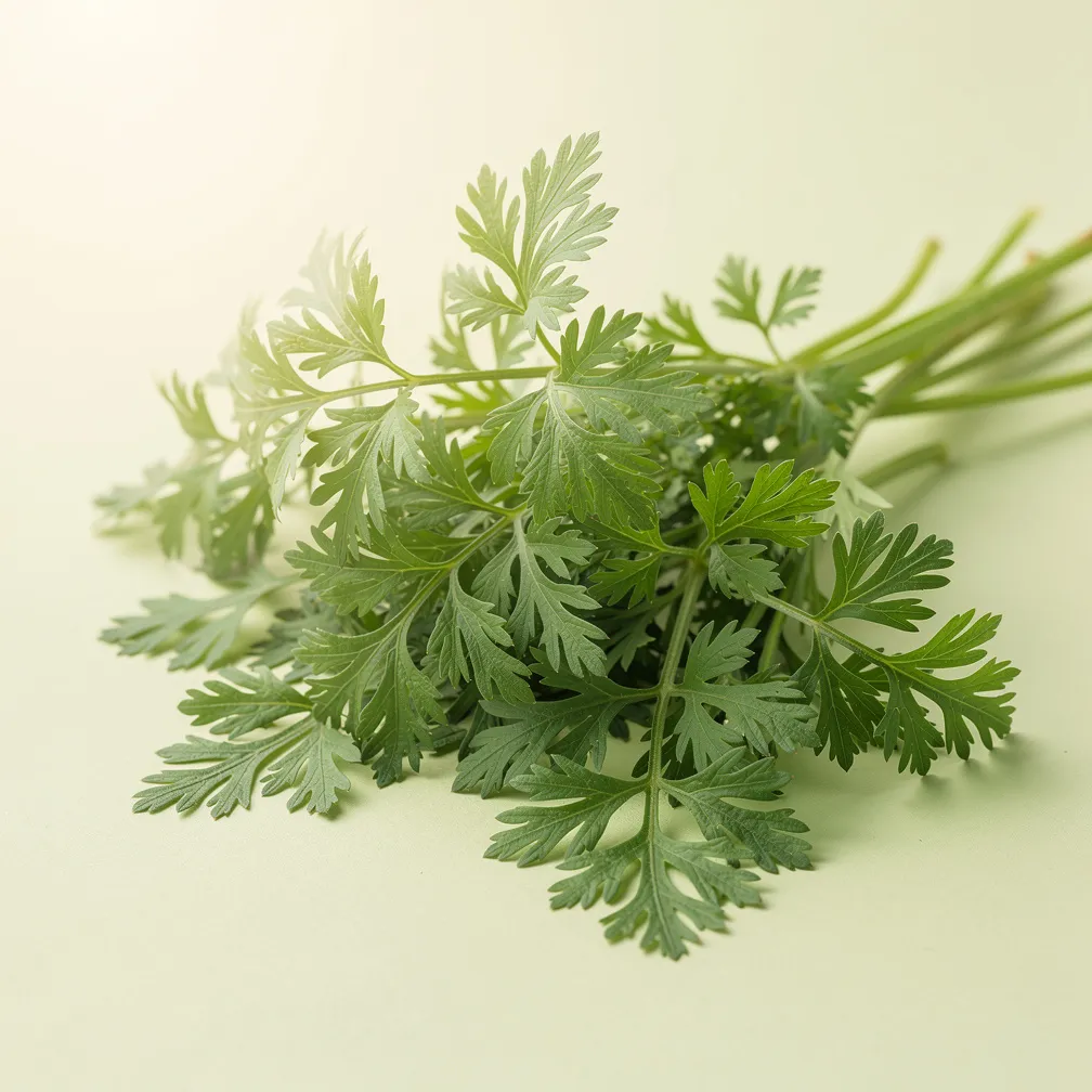 Kerbel — nutrition facts
