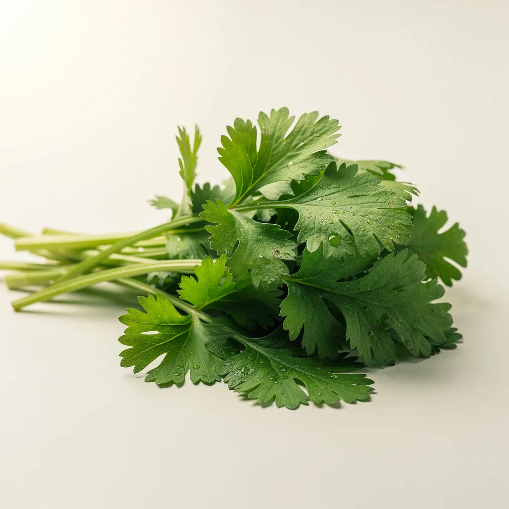 Koriander (Cilantro) — nutrition facts