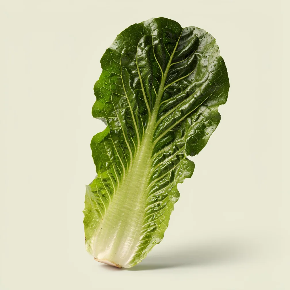 Kopfsalat — nutrition facts