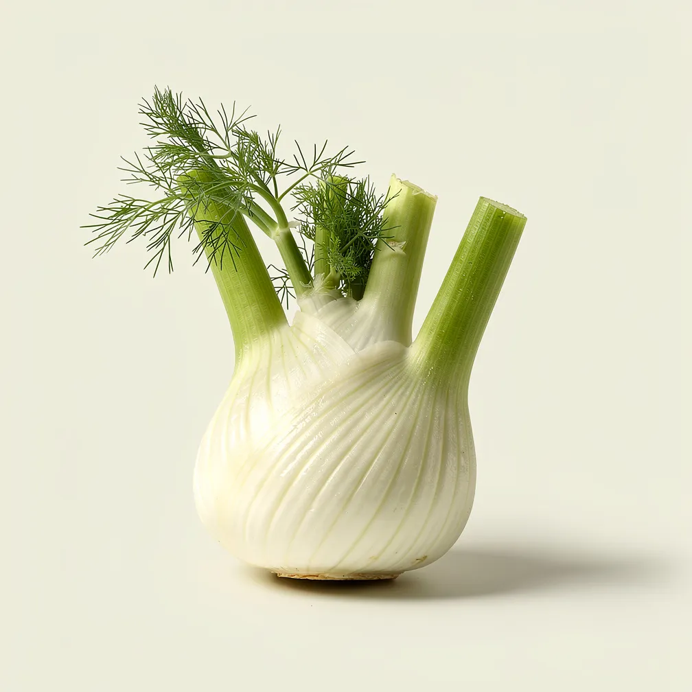 Fenchelknolle — nutrition facts