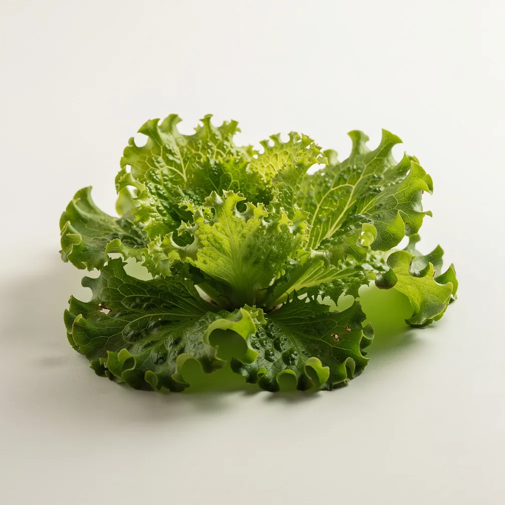 Blattsalat, grün — nutrition facts