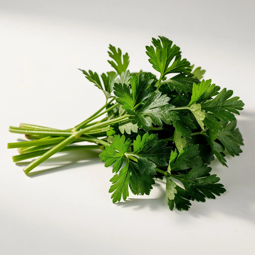 Petersilie — nutrition facts