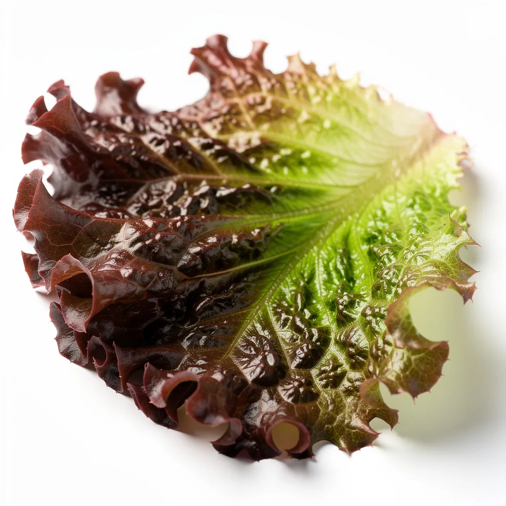 Blattsalat, rot — nutrition facts
