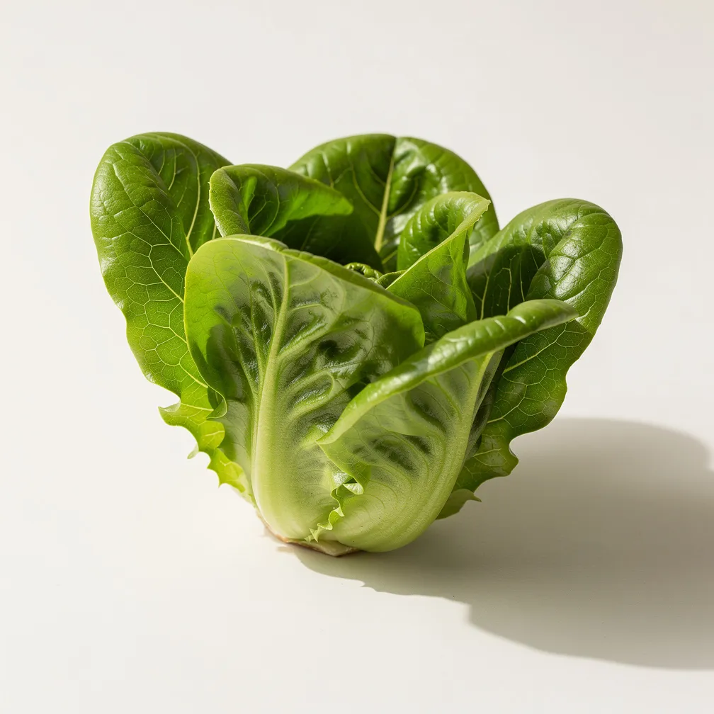 Sucrine-Salat — nutrition facts
